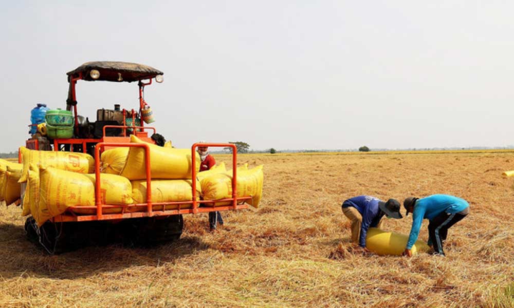 Vietnam seeks to expand rice export markets